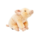 Plush Pig 18cm
