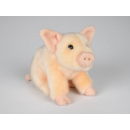 Plush Pig 18cm