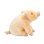 Plush Pig 18cm
