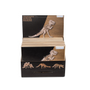 Naturholz-3D-Puzzle, Dinosaurierskelett I, 20er Display