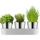 WMF Kr&auml;utergarten 3tlg., UVP: 77,99 Euro