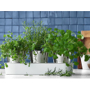 WMF Kräutergarten 3tlg., UVP: 77,99 Euro