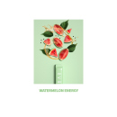 ELFBAR NC600 - Elfergy Watermelon (Energy Drink,...