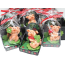 Glücksbringer - Schwein m. Kleeblatt o. Pilz, 7 x 5...