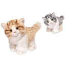 Plüsch Katze, 18 cm, 2-fach sortiert, einzeln