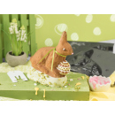 KAISER Backform Osterhase 3-D, UVP: 14,99 Euro