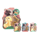 Hund mit Zubeh&ouml;r, einzeln