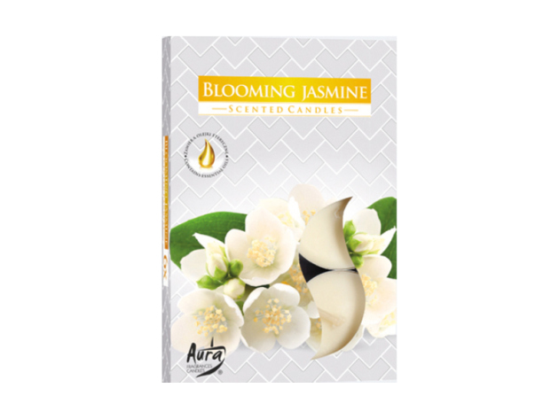 Teelicht Duft in Faltschachtel "Jasminblüte", 6er Pack