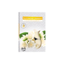 Teelicht Duft in Faltschachtel...