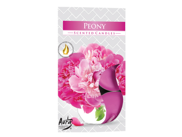 Teelicht Duft in Faltschachtel "Pfingstrose", 6er Pack