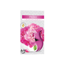 Teelicht Duft in Faltschachtel...