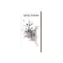 Trauer-Karte mit Umschlag, 21x11cm, sort. Motive, einzeln