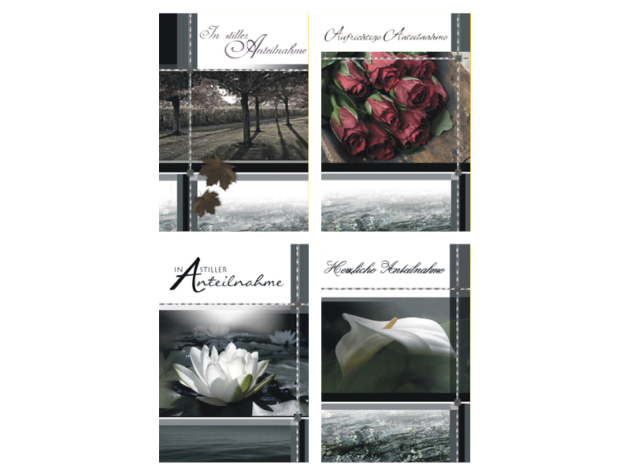 Trauer-Karte mit Umschlag "Natur", 4-fach sortiert, einzeln