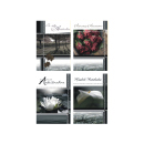 Trauer-Karte mit Umschlag "Natur",...