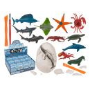Meereswelt Ausgrabungsset, sortiert, 12er Display