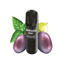 Al Massiva Pod - Black Lebanese (Minze, Traube) - 17mg -...