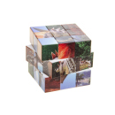 Magischer W&uuml;rfel Dinosaurier, 6er Display