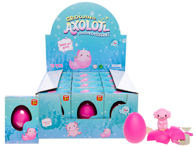 Wachsendes Ei "AXOLOTL"; ca. 6,75 cm; 12er Display