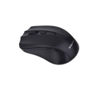 Computer Wireless Maus Schwarz