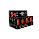 MagiX Dragon Egg - RAHIZEL - 12er Display