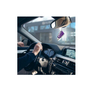 Premium Scents Lufterfrischer "Sneaker", 15er Display