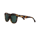 Sonnenbrillen - Zippo - Schildpatt-Gr&uuml;n