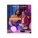 Smart LED Tischlampe; Touch Dimmbar, mit Alexa oder Google; WIFI; UVP: 49,99 Euro