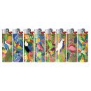BIC Maxi J26 "Birds" Reibrad...